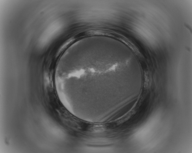 X0000091351198200708311510