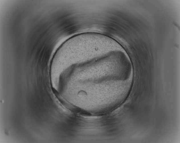 X0000091351200200708311510