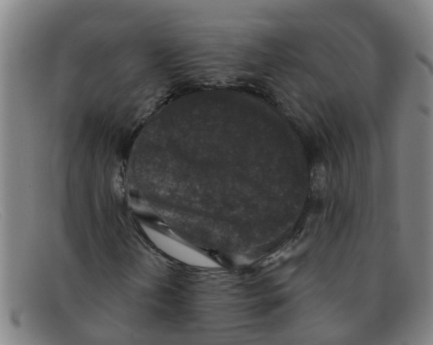 X0000091351202200708311509