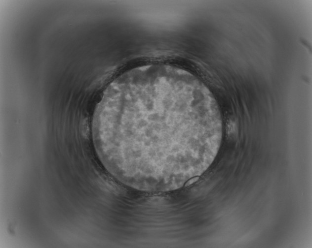 X0000091351204200708311509