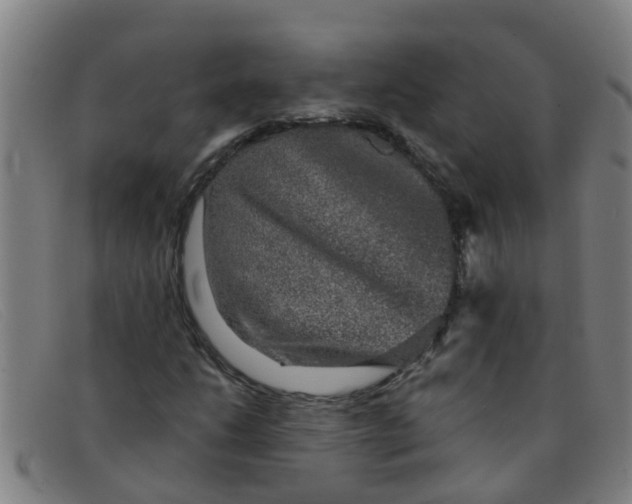 X0000091351206200708311509
