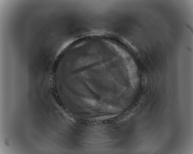 X0000091351208200708311509