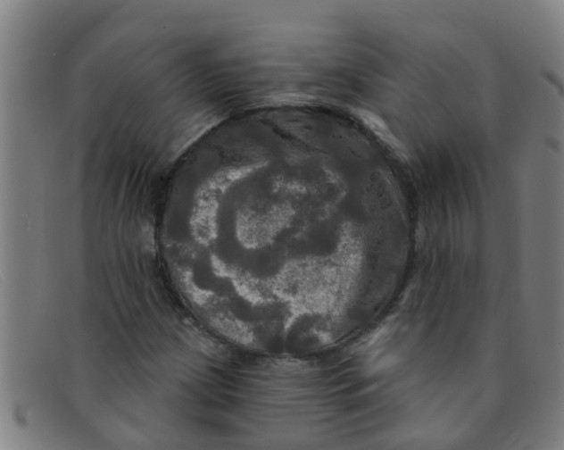 X0000091351209200708311509