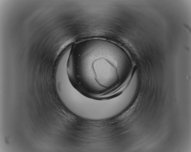 X0000091351210200708311509