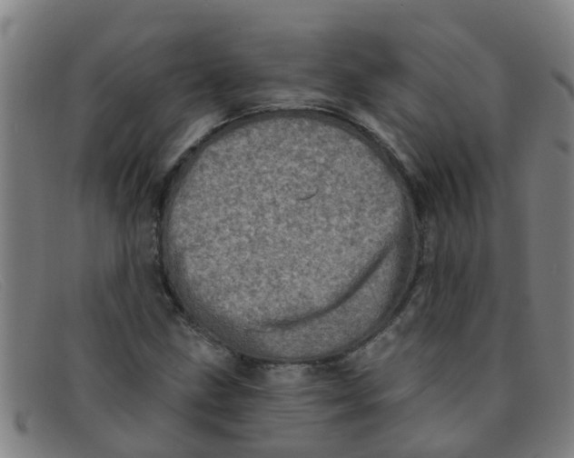 X0000091351211200708311509