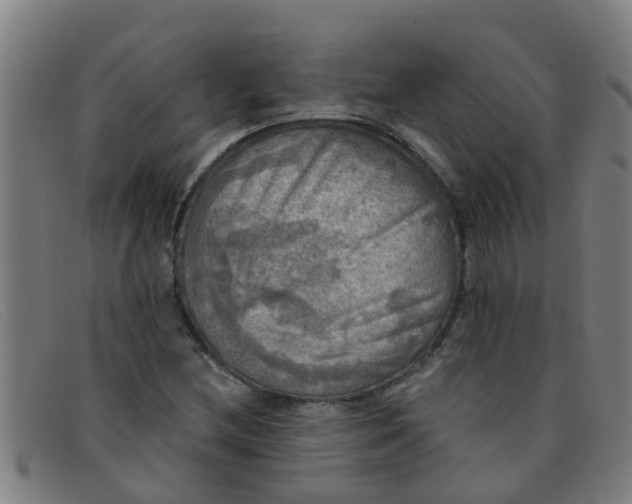 X0000091351212200708311509
