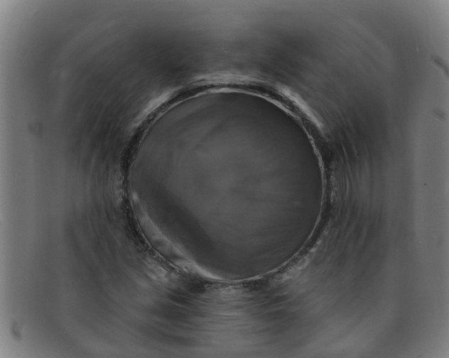 X0000091351213200708311509