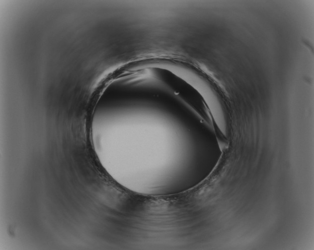X0000091351214200708311509