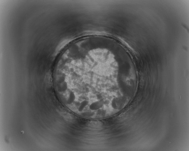 X0000091351215200708311509