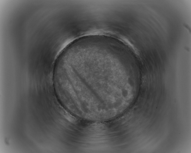 X0000091351216200708311509