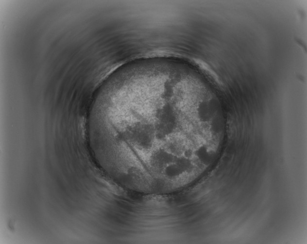 X0000091351217200708311509