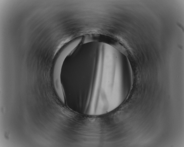 X0000091351218200708311509