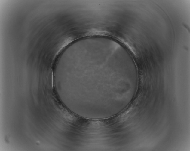 X0000091351219200708311509