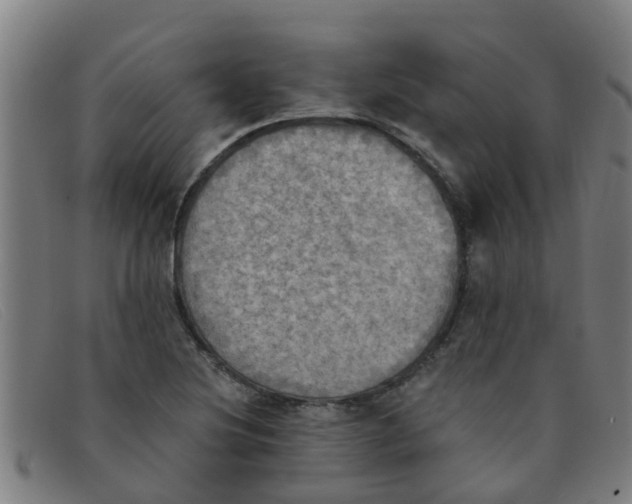 X0000091351220200708311509