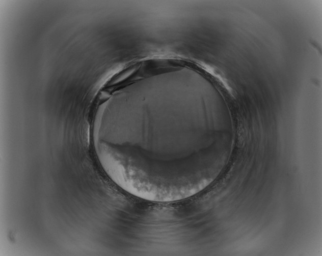 X0000091351221200708311509