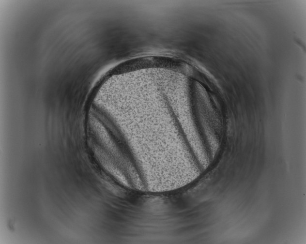 X0000091351222200708311509