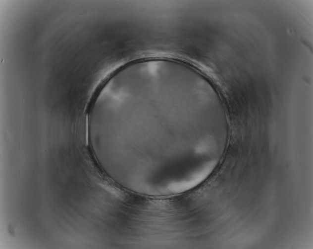 X0000091351223200708311509