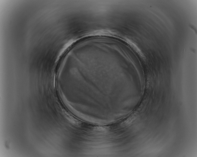 X0000091351224200708311509