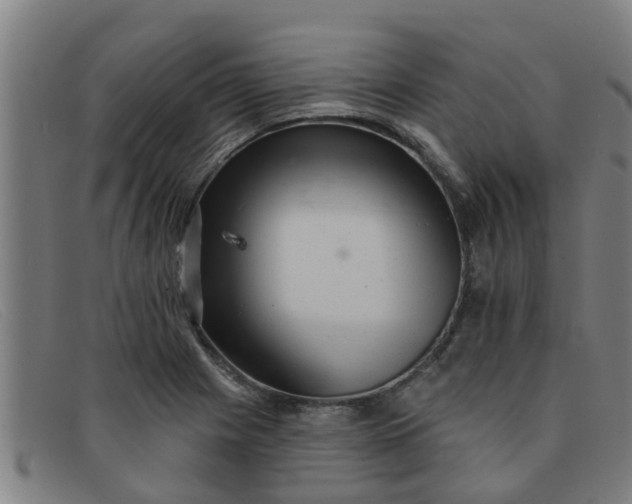 X0000091351225200708311509