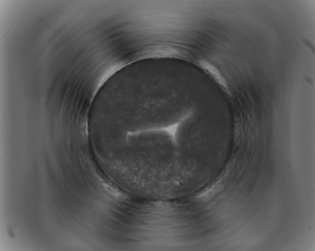 X0000091351226200708311509