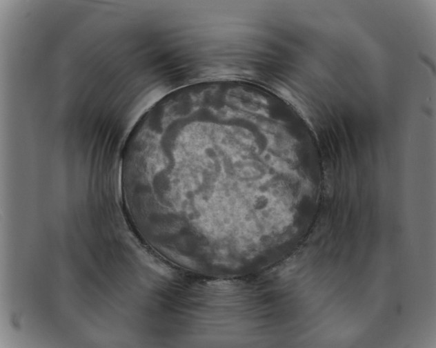 X0000091351227200708311509