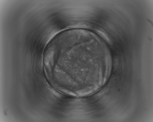 X0000091351228200708311509