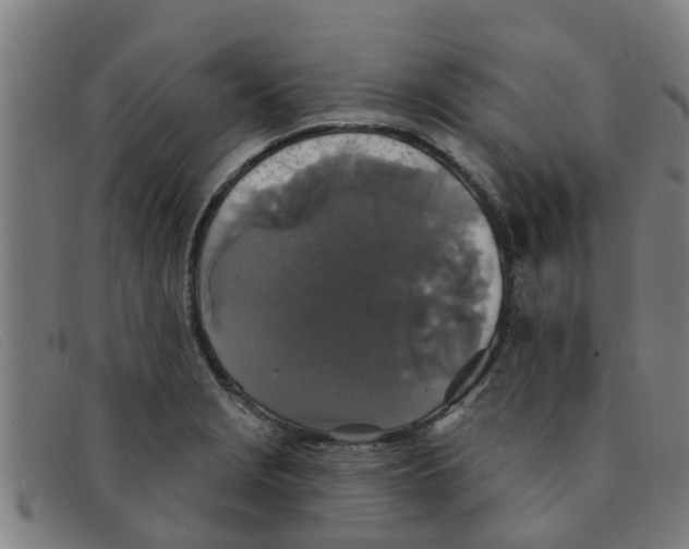 X0000091351229200708311509