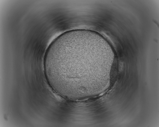 X0000091351230200708311509