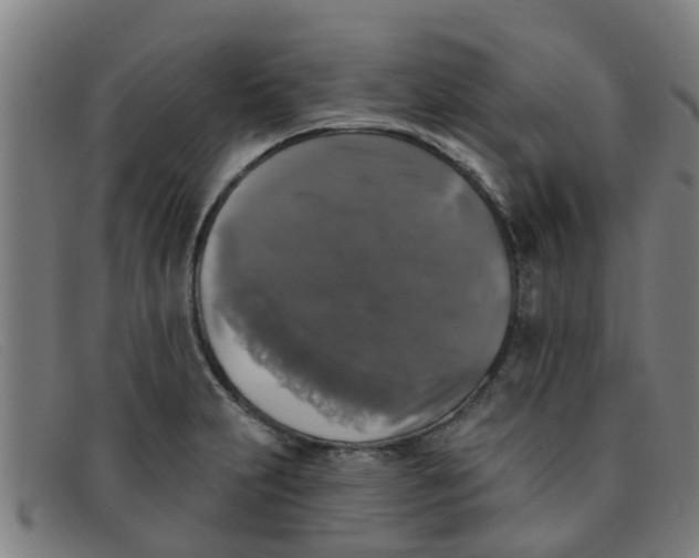 X0000091351231200708311509