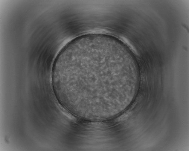 X0000091351232200708311509