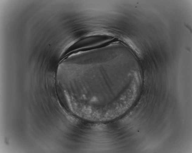 X0000091351233200708311509