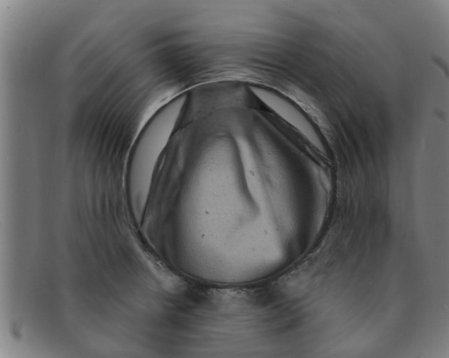 X0000091351234200708311509