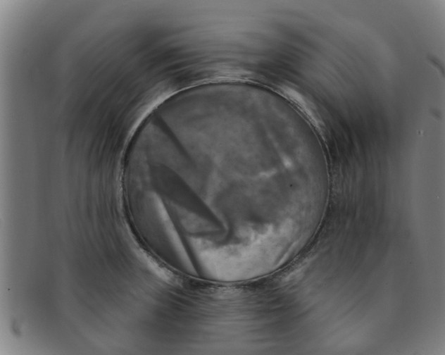 X0000091351235200708311509