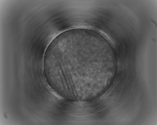 X0000091351236200708311509