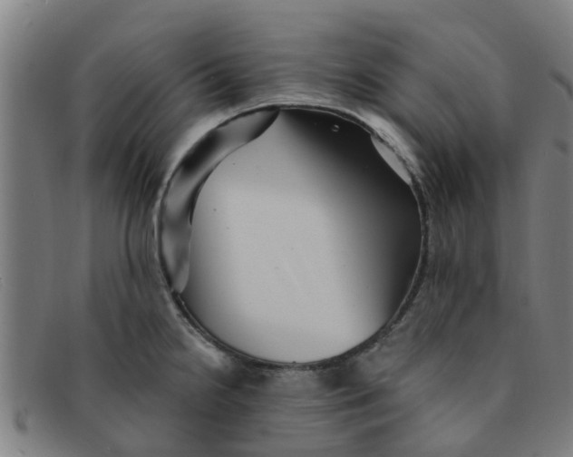 X0000091351238200708311510
