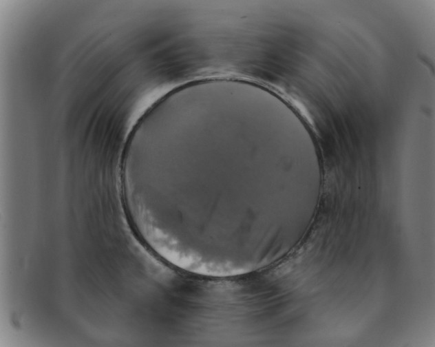 X0000091351239200708311510