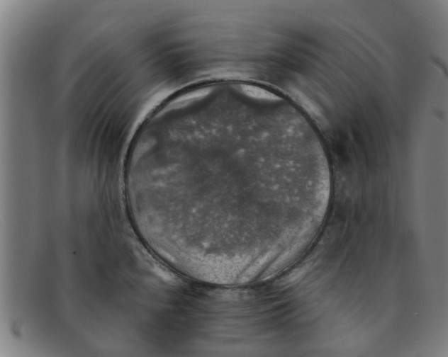 X0000091351240200708311510