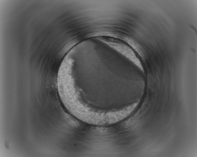 X0000091351241200708311510