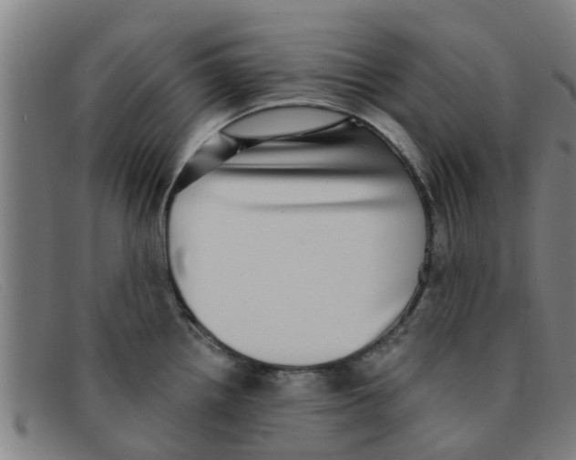 X0000091351242200708311510