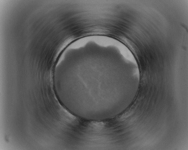 X0000091351243200708311510