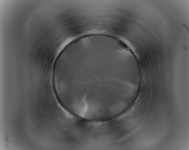 X0000091351245200708311510