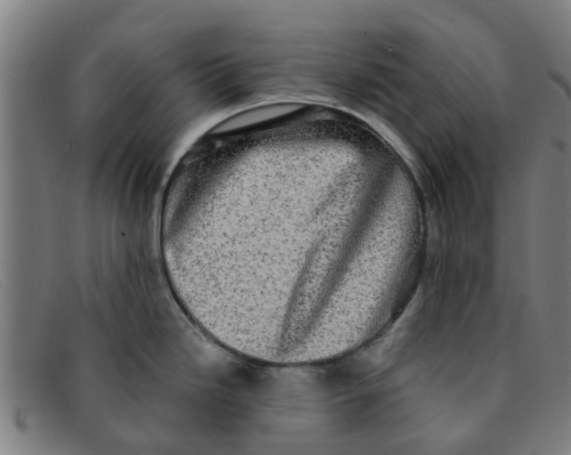 X0000091351246200708311510