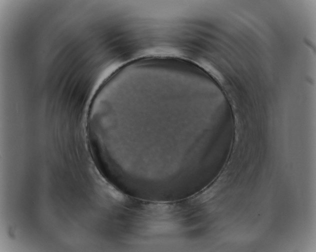 X0000091351248200708311510