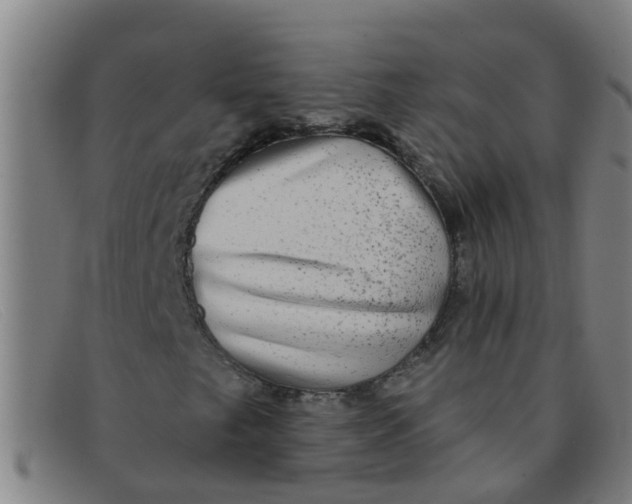 X0000091351249200708311509