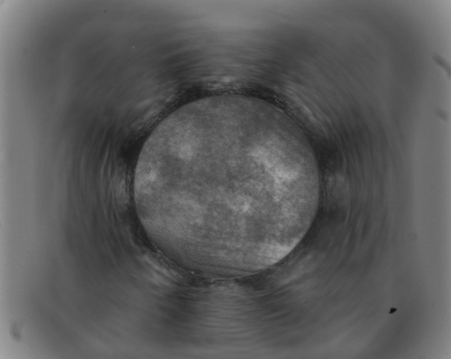 X0000091351250200708311509