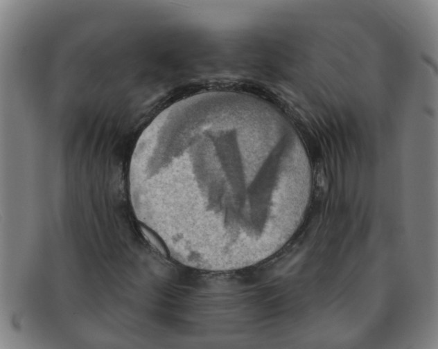X0000091351252200708311509