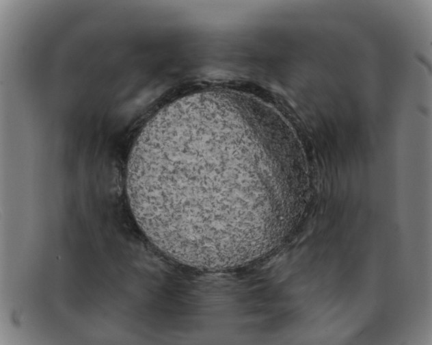 X0000091351253200708311509