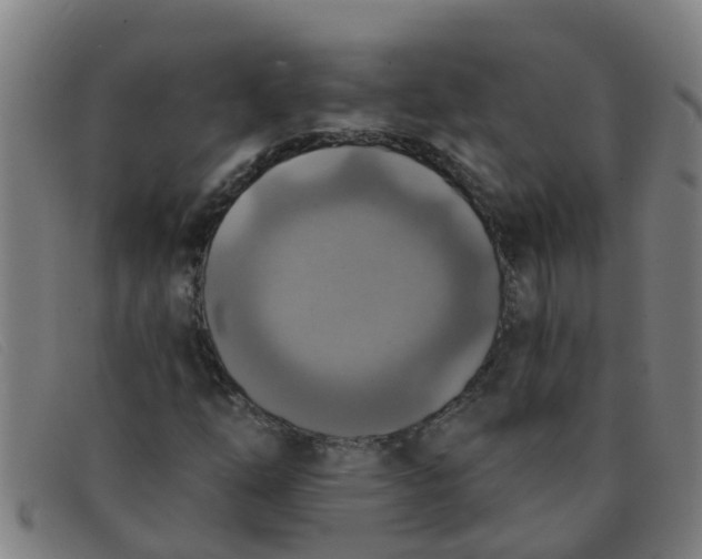 X0000091351254200708311509