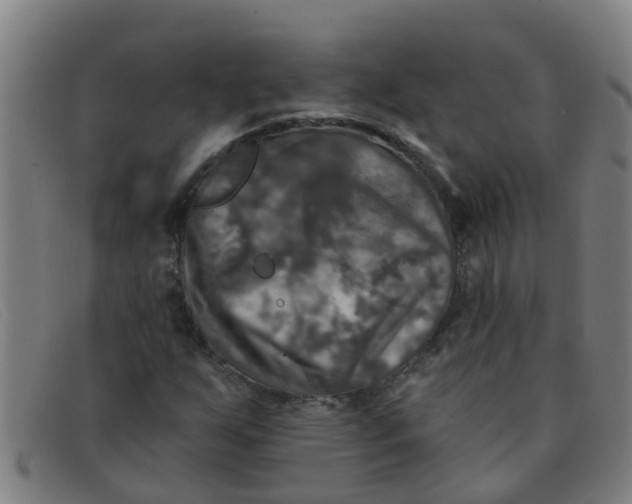 X0000091351255200708311509