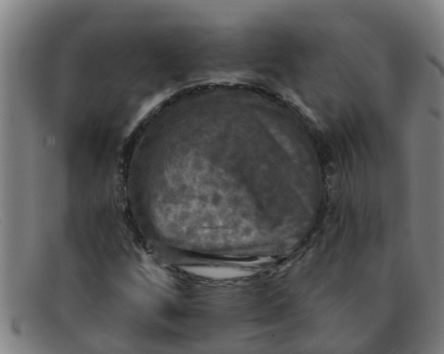 X0000091351256200708311509